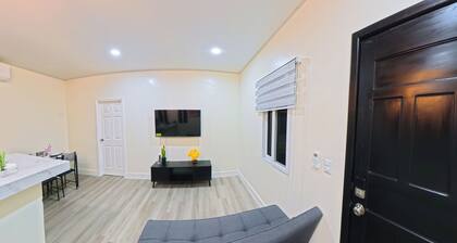 Beautiful downtown apartment #1 in La Ceiba