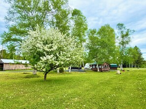 Overnattingsstedets uteområder