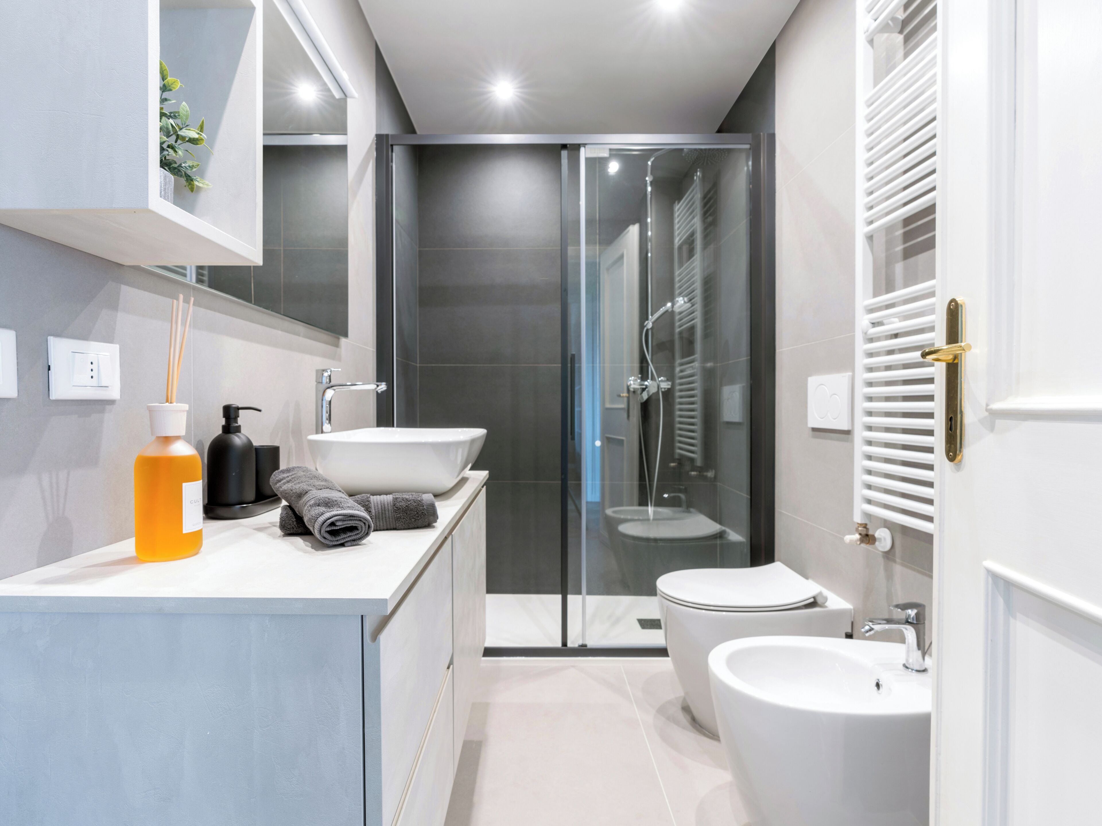 Shower, hair dryer, bidet