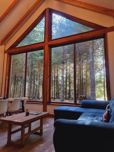 Premium Cabin in Malalcahuello Near Corralco Ski Resort