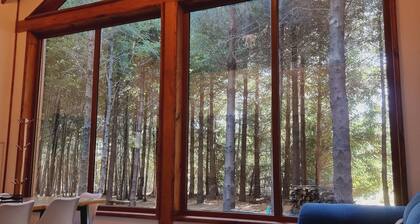 Premium Cabin in Malalcahuello Near Corralco Ski Resort