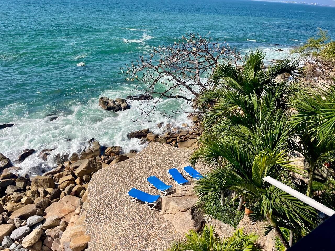 A rocky beach with three sun loungers and palm trees.