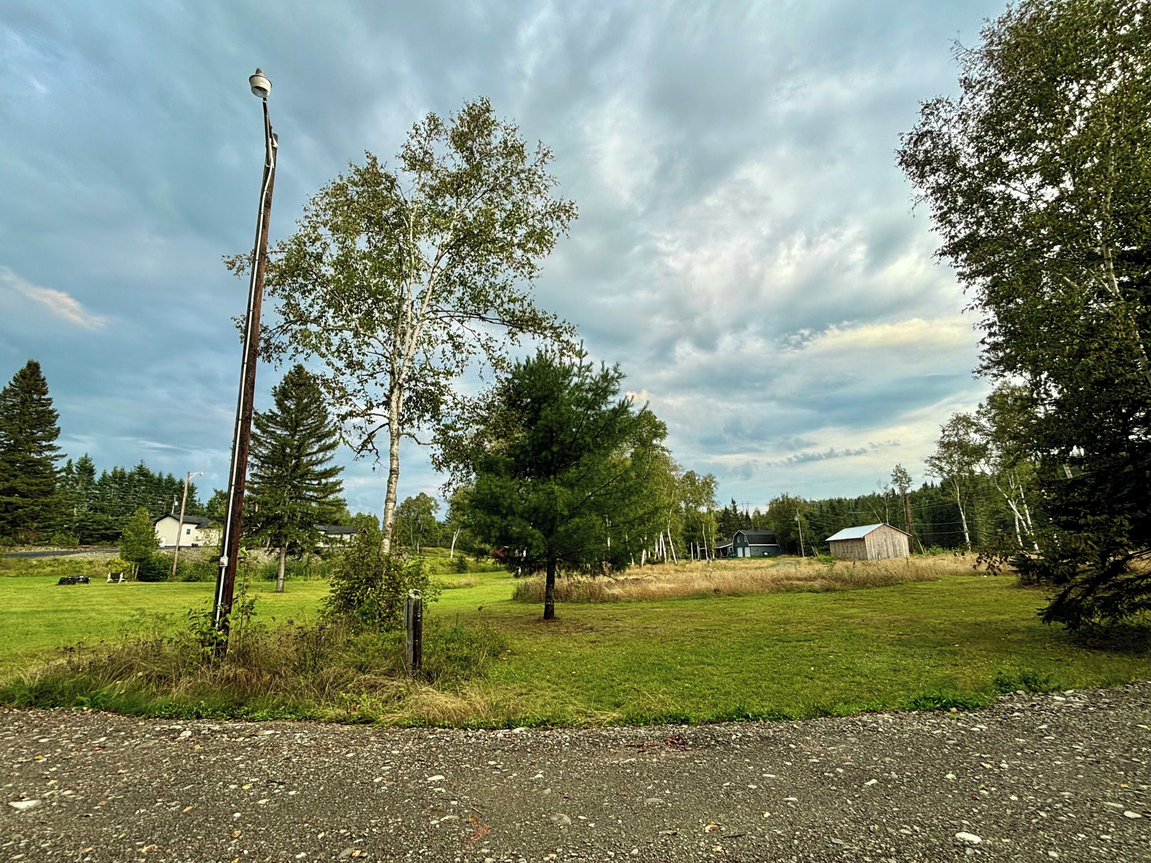 A rural landscape with a gravel road, a utility pole, and a grassy field with trees.