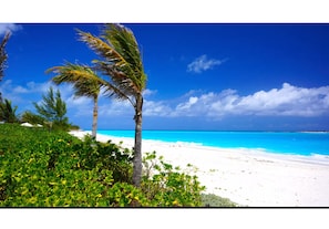 Beach - Luxury Pool Villa Steps From Stunning Beach Beautiful Views EAST TOWER ONLY (Moss Town)