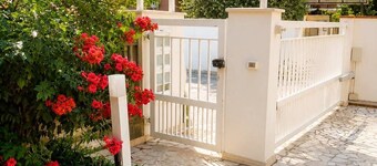 Camelia House