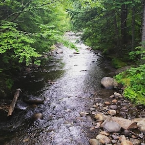 Un río serpentea por un área boscosa con rocas y árboles.