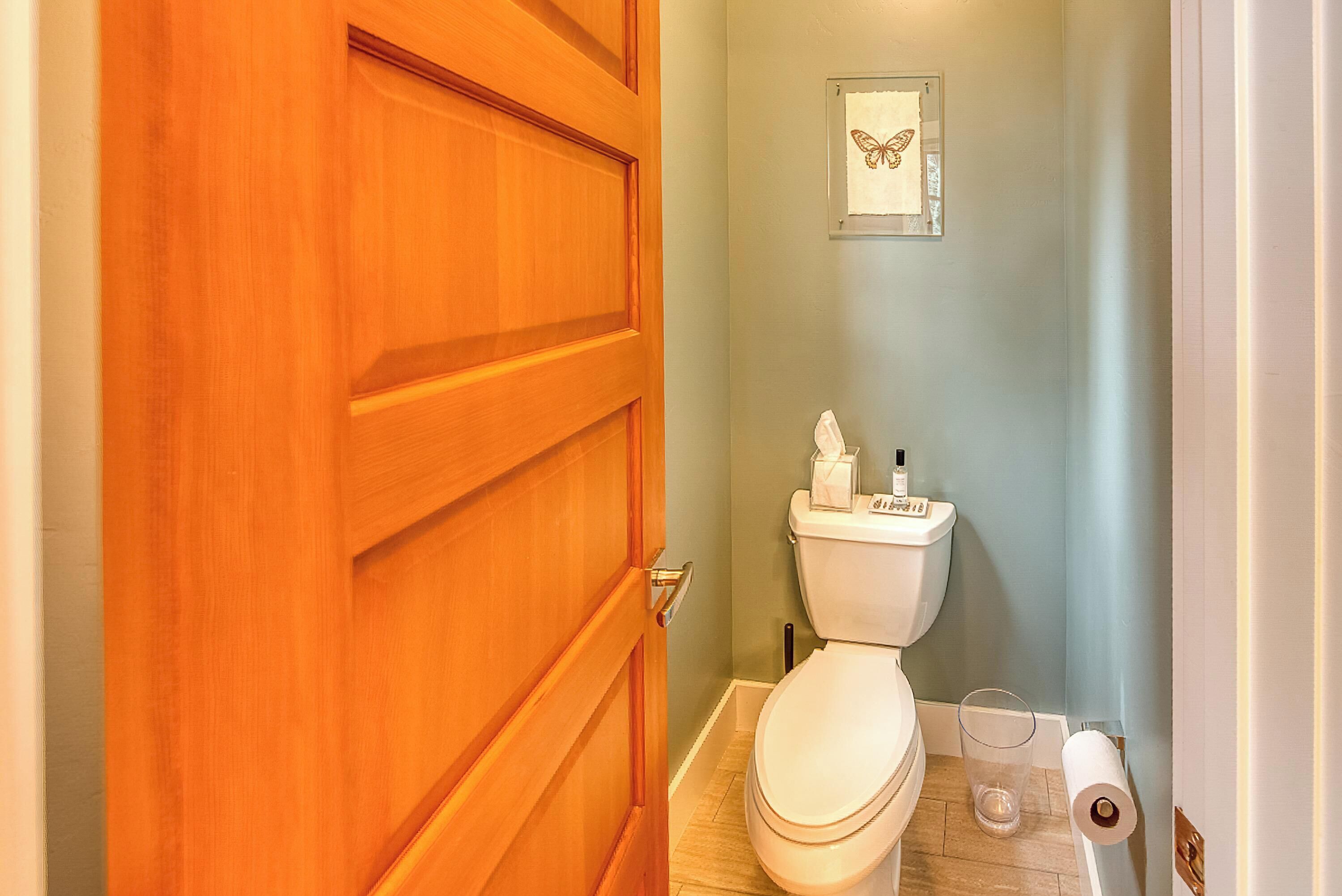 A bathroom with a wooden door, a toilet, a wall-mounted toilet paper holder, and a framed butterfly decoration.