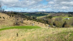 Paisaje rural con colinas ondulantes, árboles dispersos y algunos edificios.