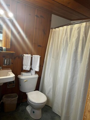 A bathroom with a toilet, sink, and shower curtain. - Cozy 1BR hotel room, Hamilton - #336 Endawonnda (Hamilton)