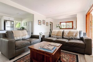 TV, fireplace, books
