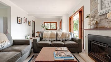 Televisión, chimenea y libros