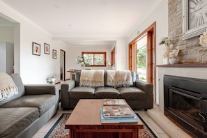 TV, fireplace, books