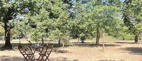 An outdoor seating area with two wooden lounge chairs and a table, surrounded by trees.