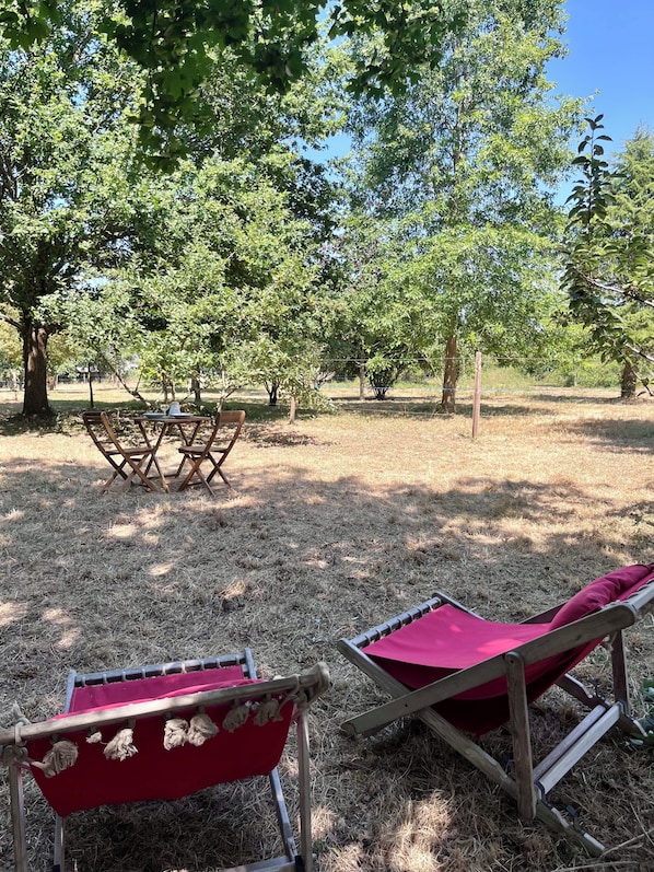 An outdoor seating area with two wooden lounge chairs and a table, surrounded by trees.