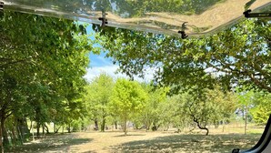 Vista pela janela de um camping, com árvores e céu claro.