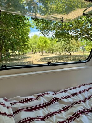 Vista desde una ventana de un campamento con árboles y cielo despejado.