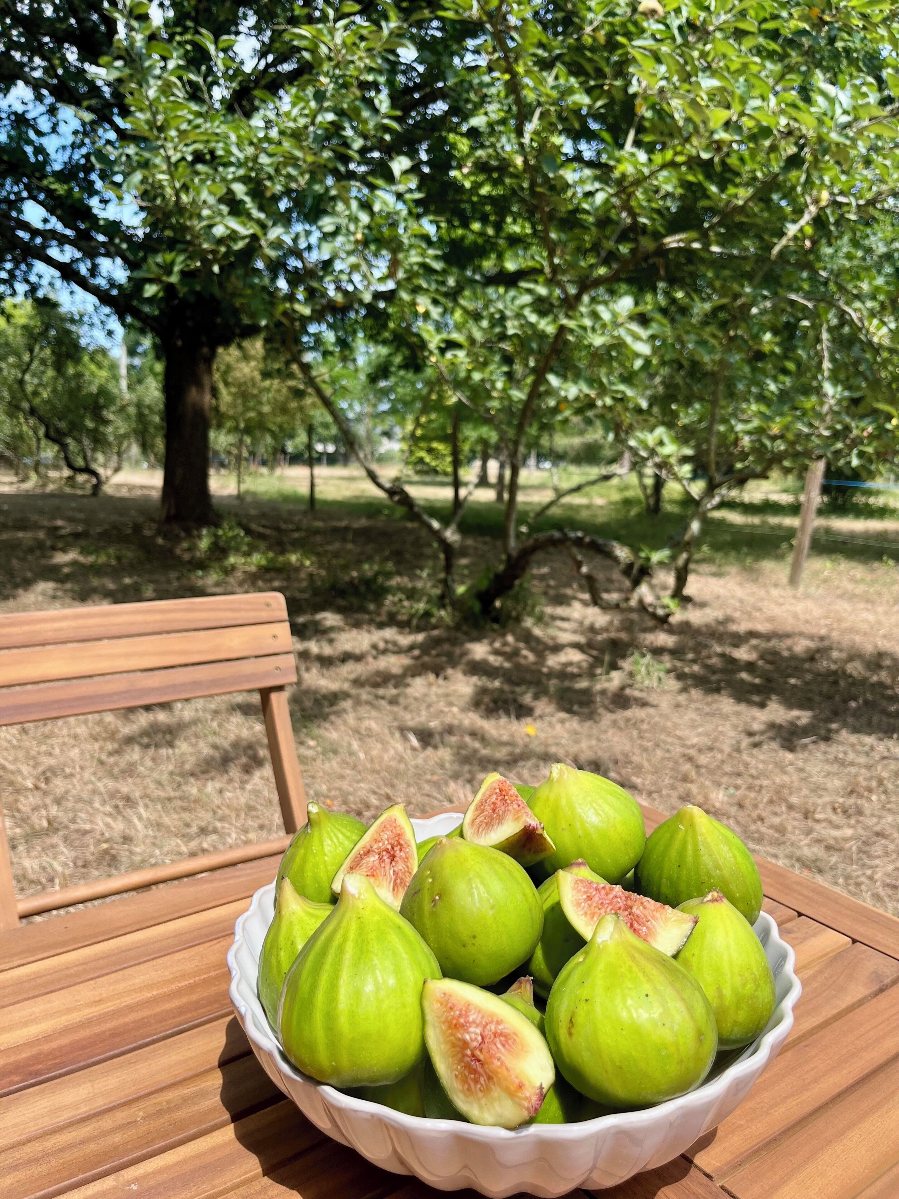 A bowl of green figs on a wooden table with a bench in the background.