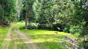 Un sentiero sterrato attraversa una zona boschiva con alberi fitti e un prato erboso.