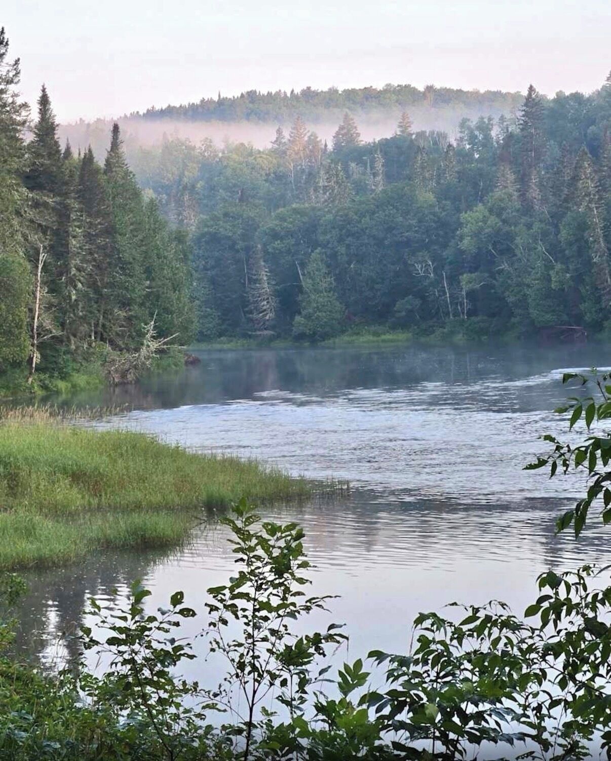 Un paysage naturel comprenant une étendue d’eau, une forêt dense et un arrière-plan brumeux.