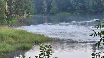 Un paysage naturel comprenant une étendue d’eau, une forêt dense et un arrière-plan brumeux.