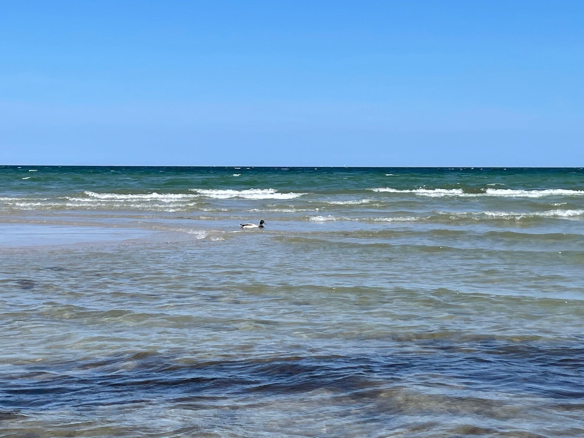 Een strand met golven en iemand in het water.