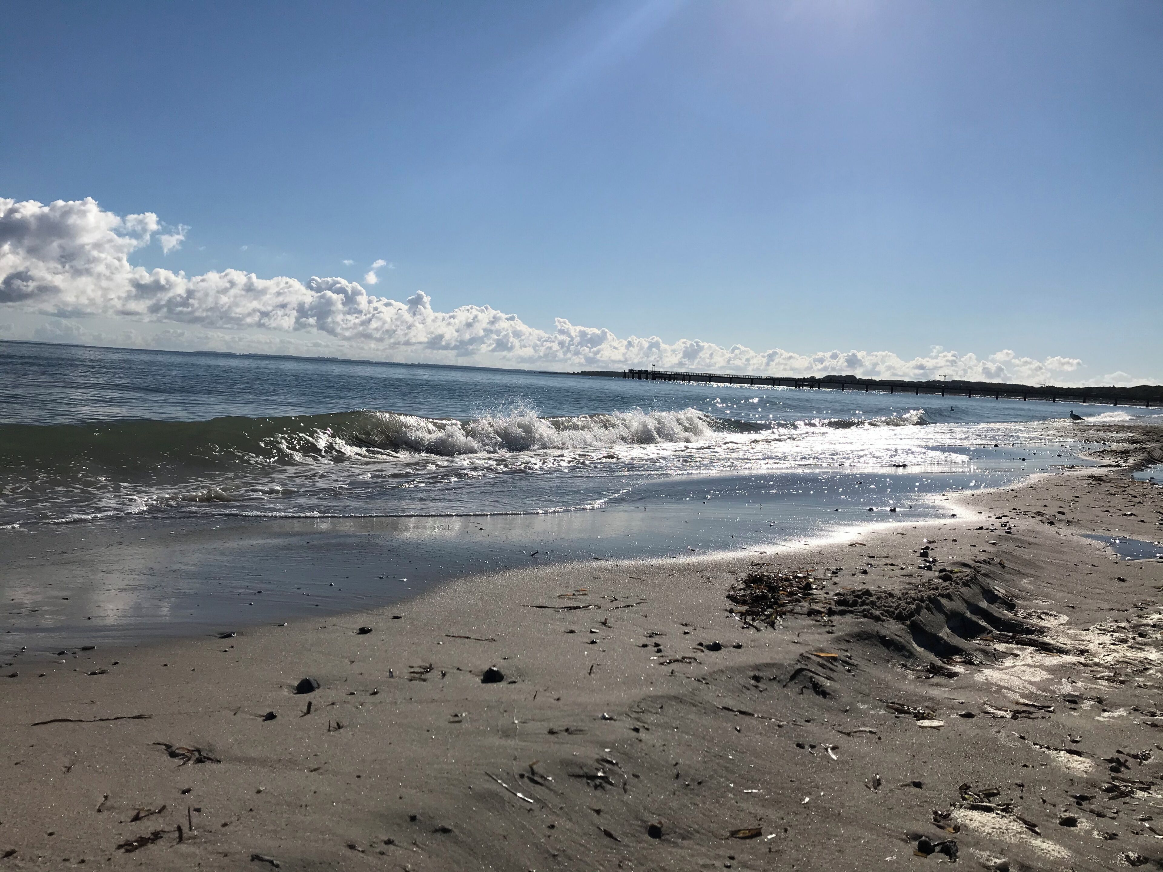 A beach with waves, a clear sky, and a distant pier.