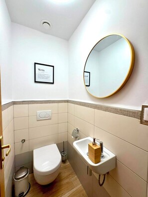 A bathroom with a toilet, sink, and mirror. - Spacious 1 bedroom with 4 beds  (Luxembourg)