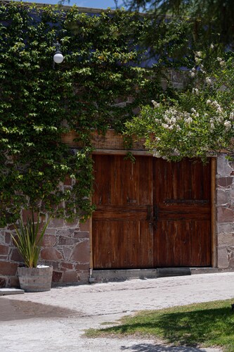 Viñedo Luka XVXV