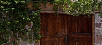 Viñedo Luka XVXV