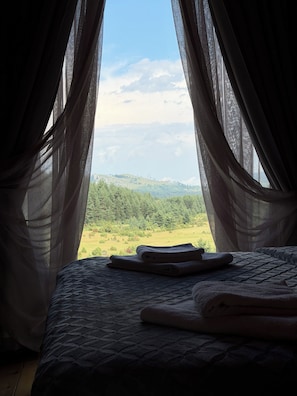 Spa - Comfort family two bed room mountain house on the edge of Durmitor National Park (Žabljak)