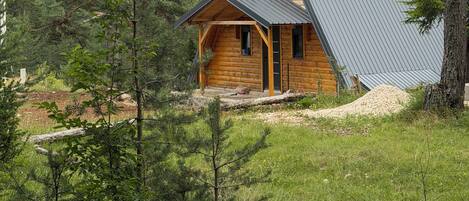 A cabin with a sloped roof, wooden exterior, and a porch with a ladder.