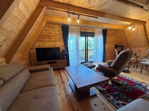 Living area - Comfort family two bed room mountain house on the edge of Durmitor National Park (Žabljak)
