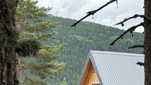 Eine Blockhütte mit geneigtem Dach, umgeben von Bäumen und einer Berglandschaft im Hintergrund.