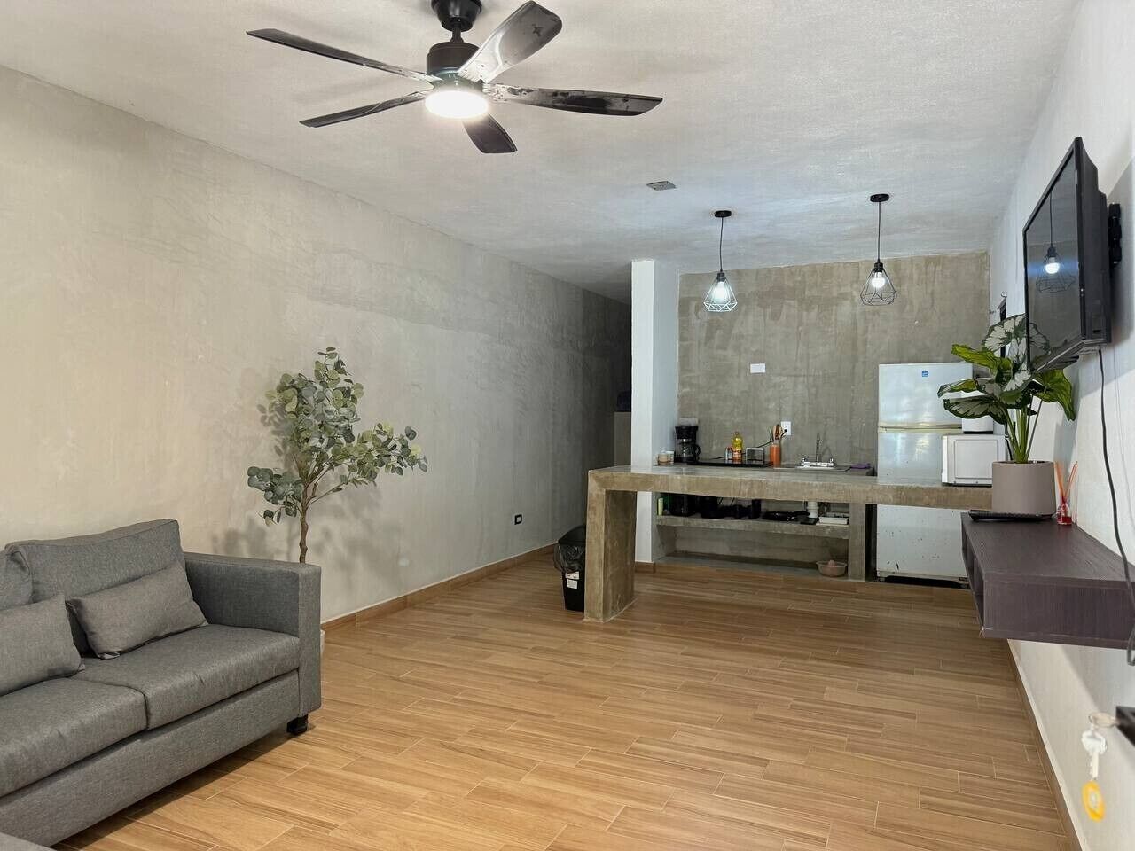 A living room with a sofa, a dining table, a ceiling fan, a TV, and a plant.