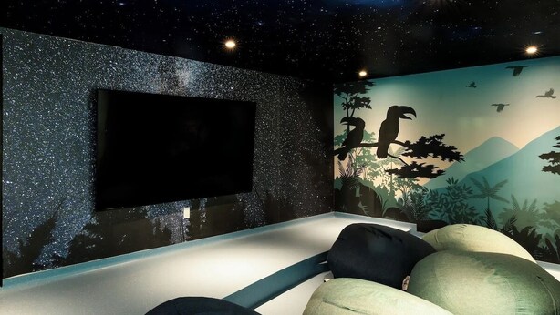 Quarto com teto estrelado, TV na parede e painel com aves e folhagem.