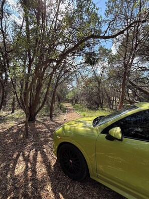 A yellow car parked in a wooded area with trees and a clear sky. - Boutique 1BR Retreat, chilled & heated cowboy pool (Driftwood)