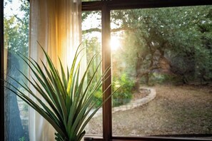 Ein Blumentopf vor einem Fenster mit Blick auf einen Garten.