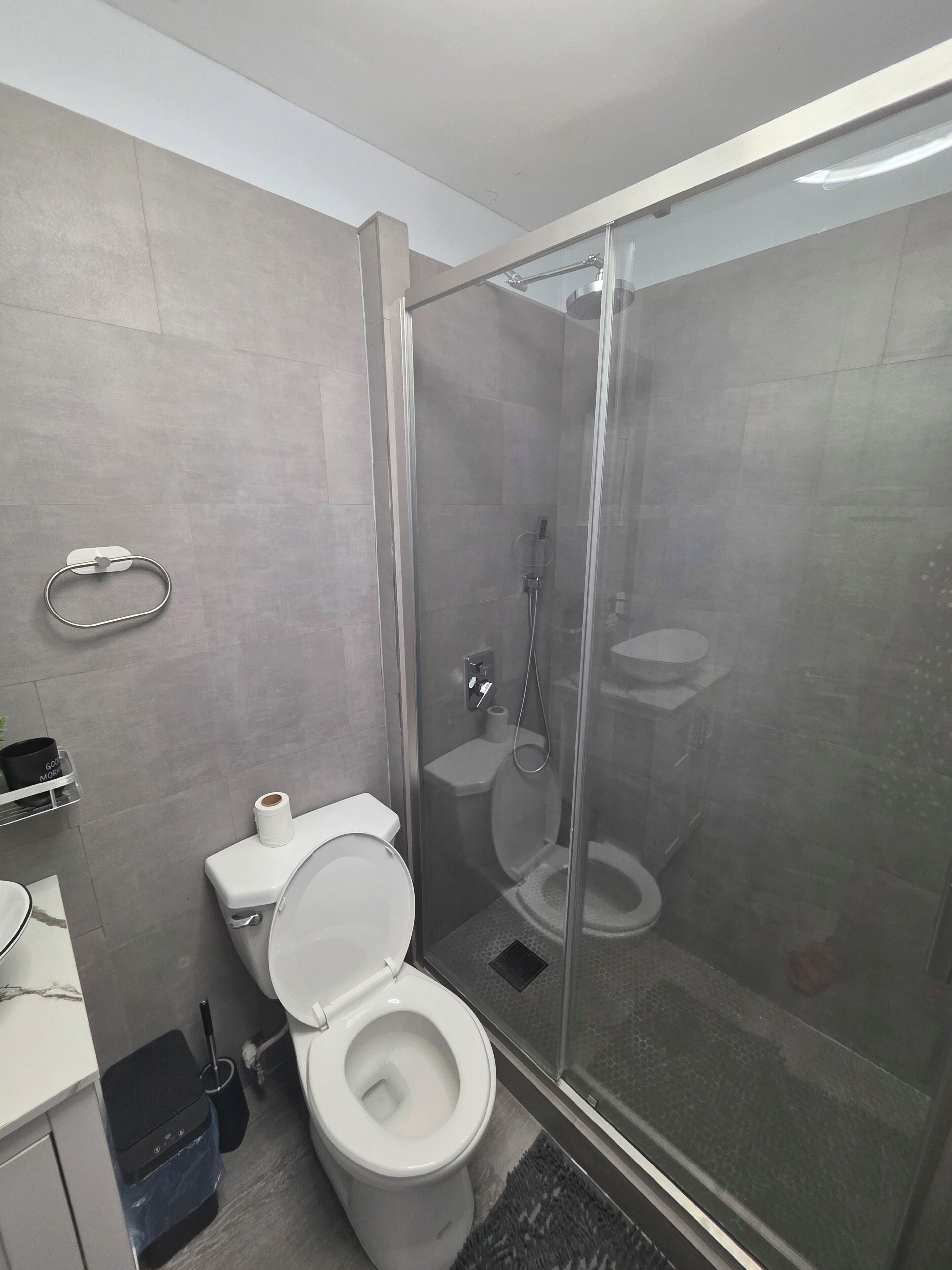 Een moderne badkamer met een douchecabine van glas, een toilet en een wastafel.