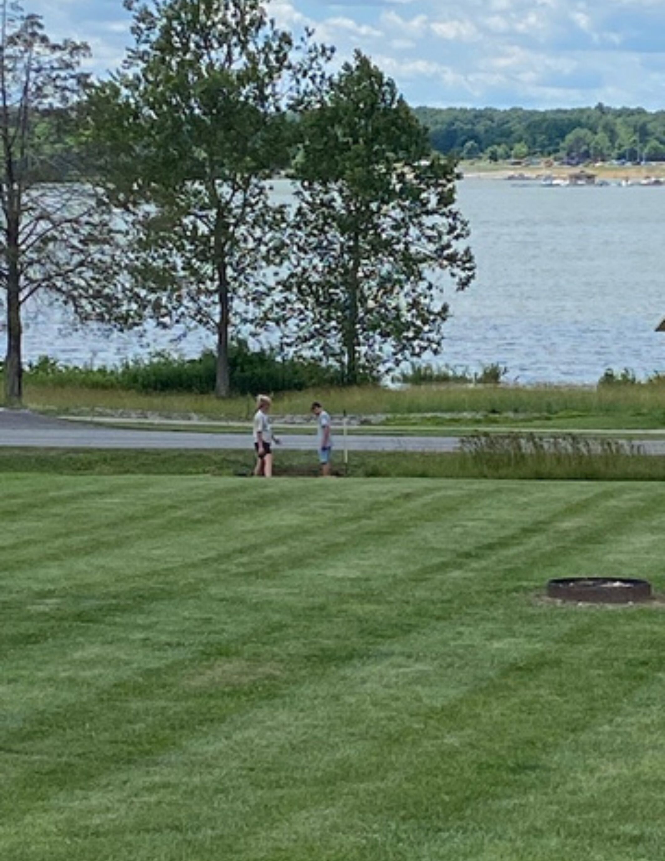 A grassy area with a body of water and trees in the background.