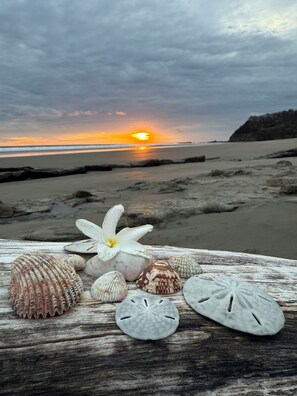 A beach scene with a sunset, featuring seashells and a flower on a wooden surface. - Studio apartment with ocean view, minutes away from the beach, surf, & swimming! (San Juan del Sur)