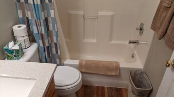 Hair dryer, towels, soap, shampoo