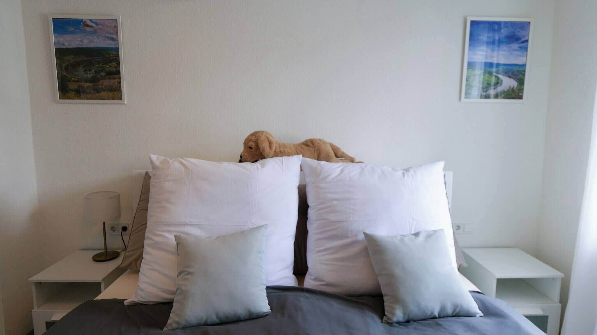 2 Schlafzimmer