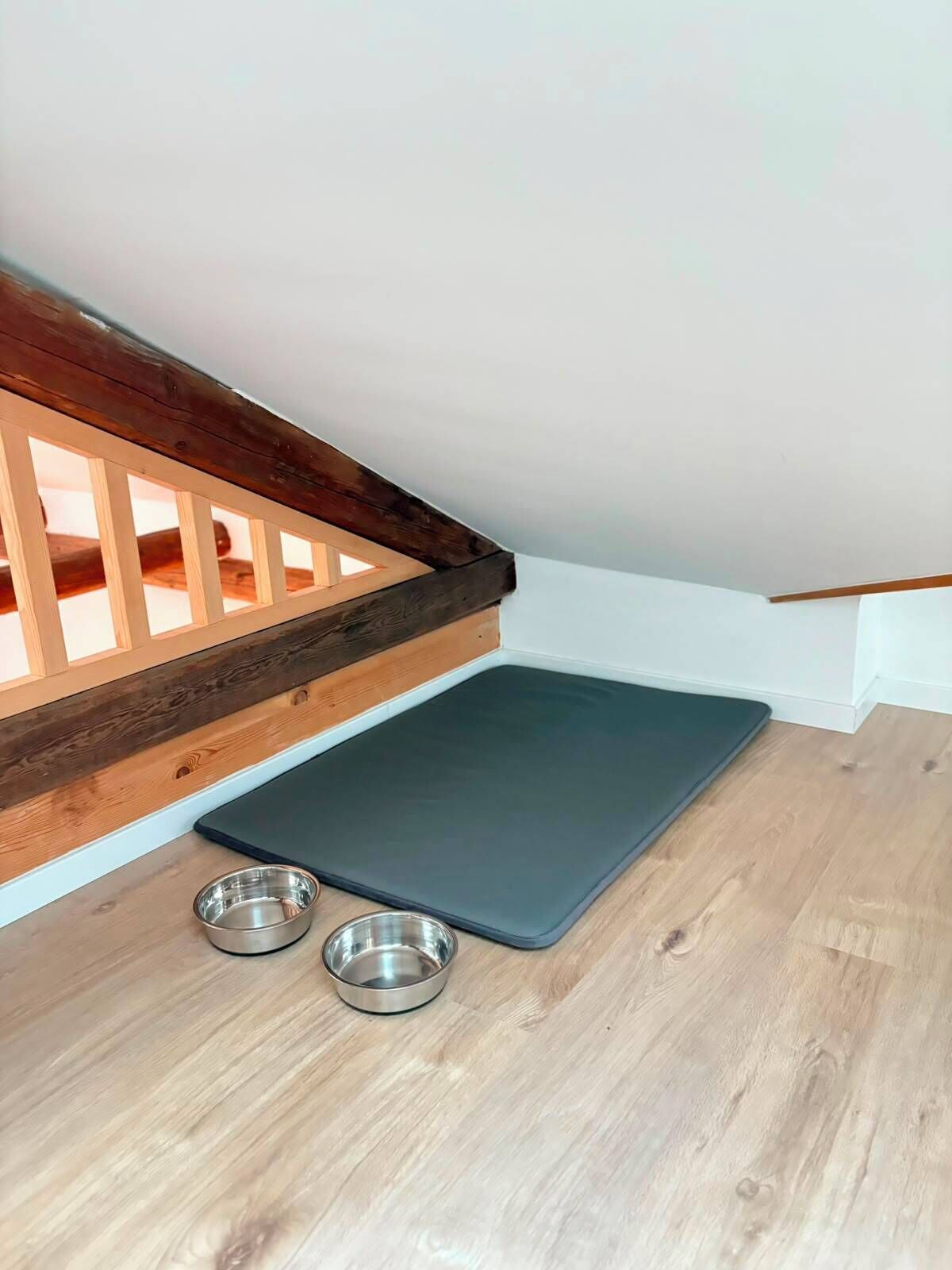 Un coin de pièce avec un tapis sombre, deux bols en métal et une rambarde en bois.