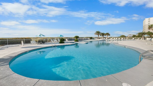 Una piscina azul cristalina con borde curvo, rodeada por una cerca blanca, y una palmera al fondo.