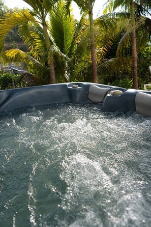 A hot tub surrounded by palm trees. - Jasmin: Spacious, quiet apartment with a pool for 6 (Le Gosier)