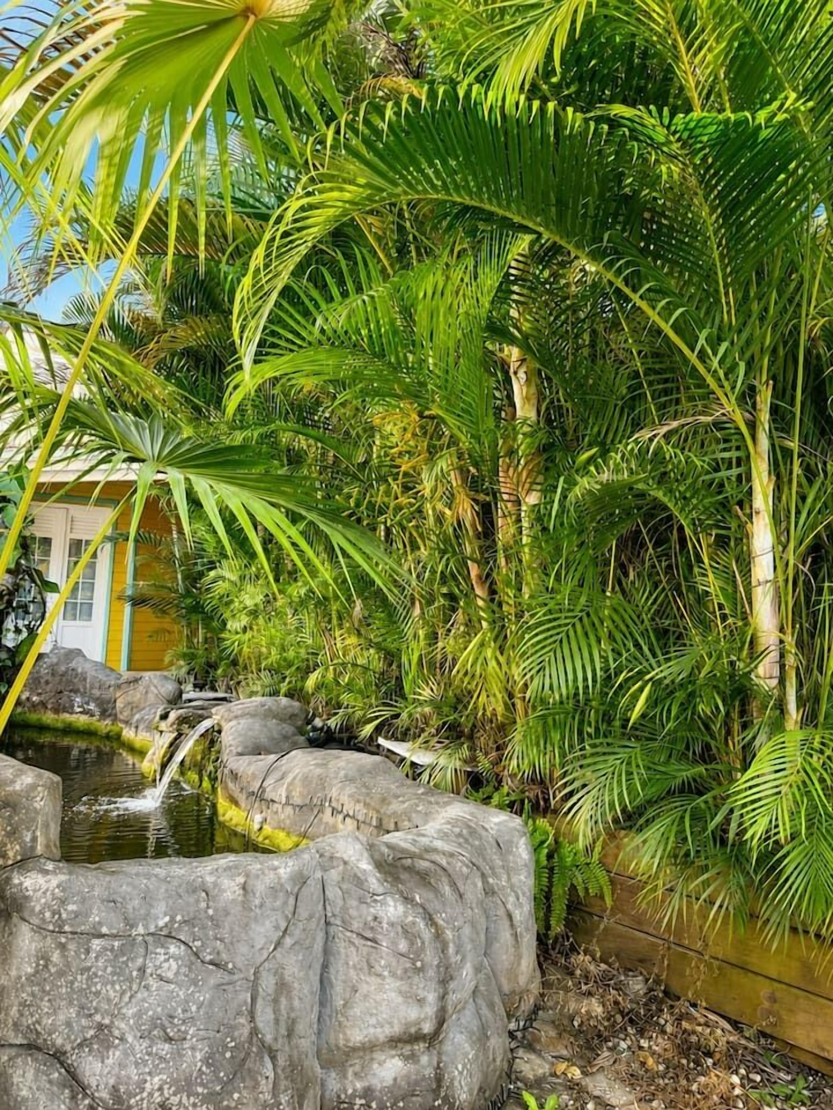 A tropical garden with a water feature, palm trees, and a building with a yellow facade.