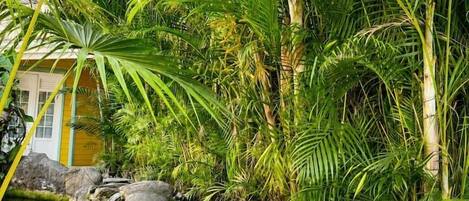 A tropical garden with a water feature, palm trees, and a building with a yellow facade.