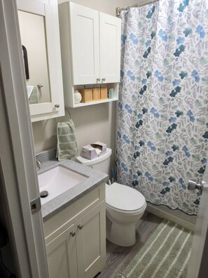 Hair dryer, towels, soap, shampoo