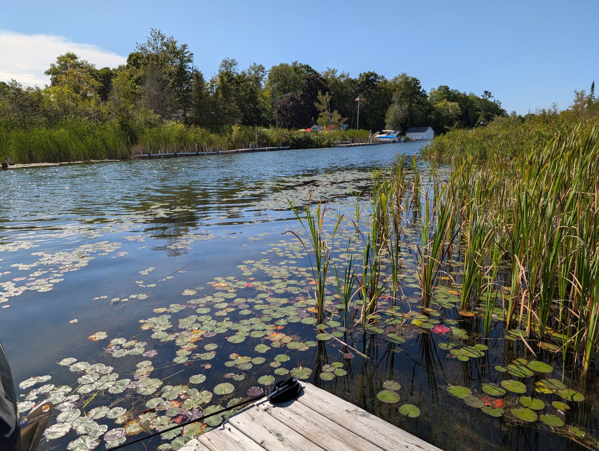 A calm river with lily pads and reeds, a wooden dock, and a boat docked on the opposite bank.