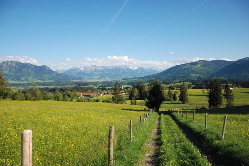 Un paysage rural avec un chemin bien défini, des champs et des montagnes à l’horizon.